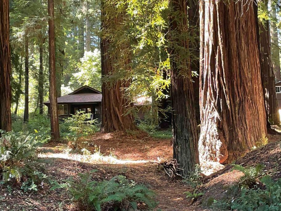 The Groves At Redway Beach - Craftsman Exterior photo